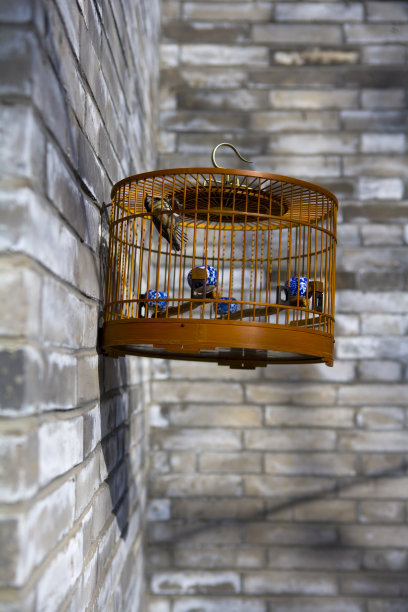 鸟笼图片下载