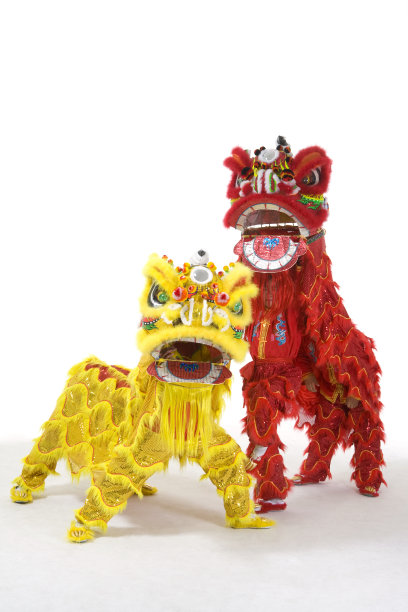 对狮看镜头图片下载