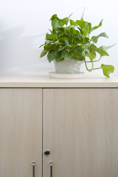 办公桌上的静物图片下载