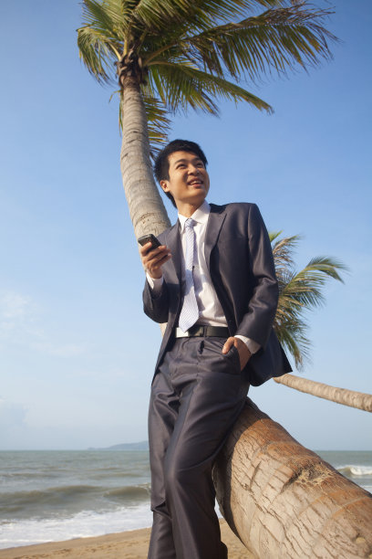 商务人士在海边用手机图片下载