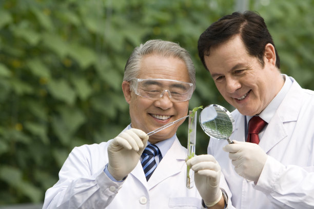 农艺师在现代农庄做科学研究图片下载