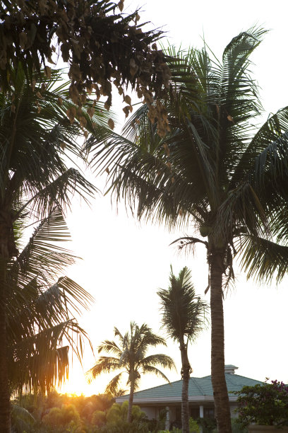 度假村落日风景图片下载