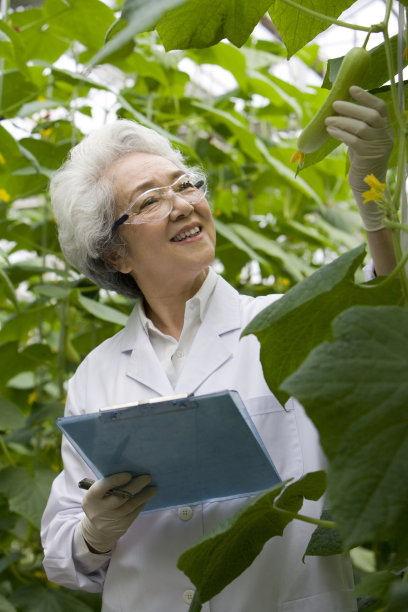 农艺师在现代农庄做科学研究图片下载