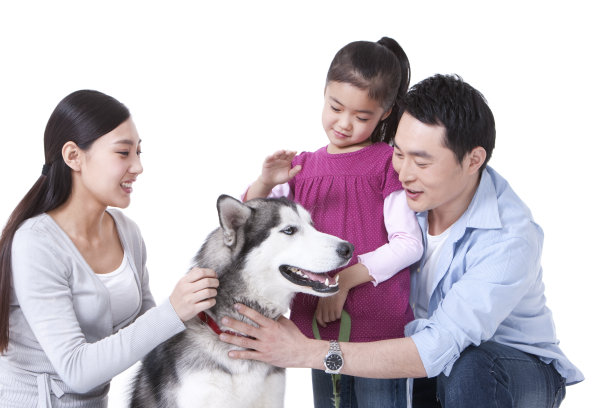 一家三口和哈士奇狗图片下载