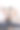 一家三口和雪纳瑞狗图片下载