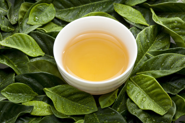 绿叶中的茶杯图片下载