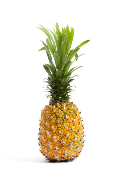 菠萝特写图片下载