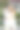 年轻情侣展示新房的钥匙图片下载