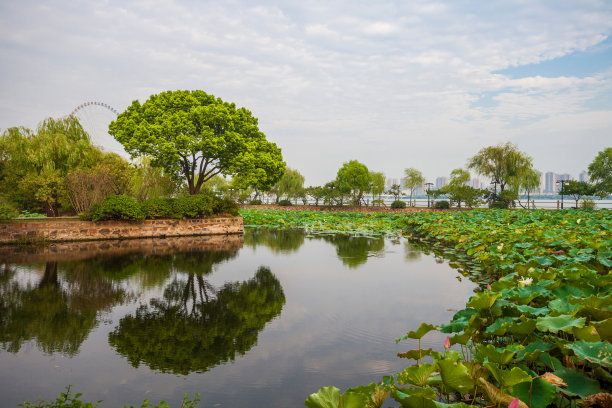 江苏省无锡蠡园图片下载