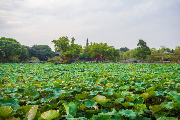 江苏省无锡蠡园图片下载