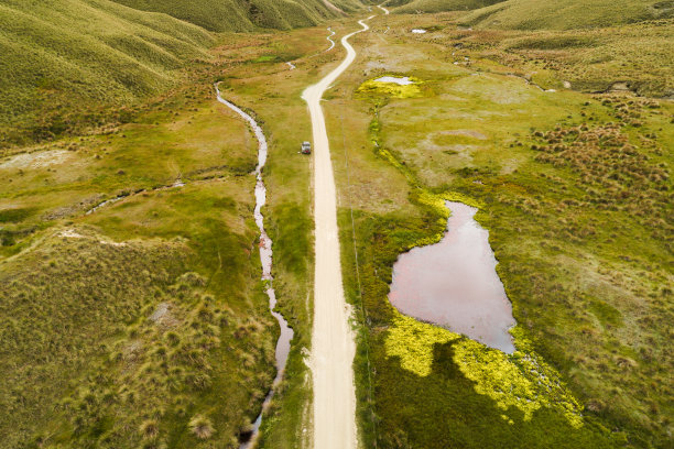 在草丛中俯视道路。图片下载