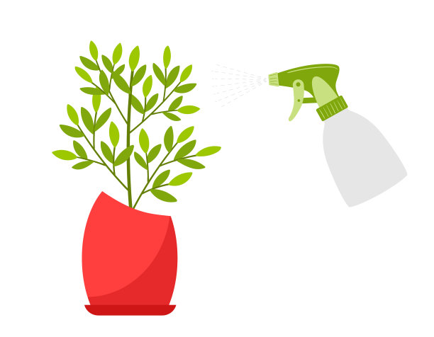 用喷枪喷洒室内植物图片下载