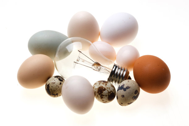 鸡蛋灯泡图片下载