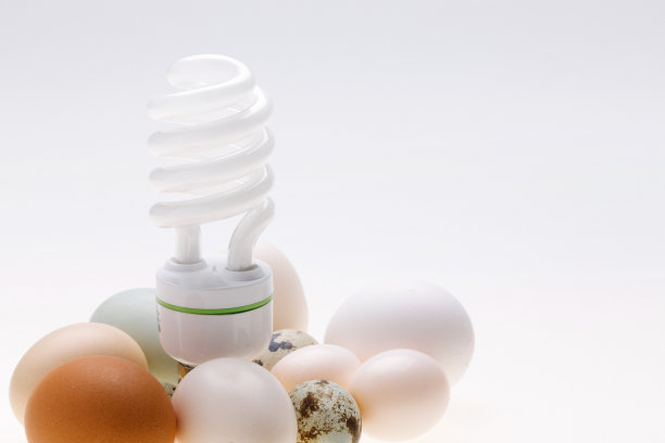 鸡蛋灯泡图片下载