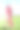 东方女人打高尔夫球图片下载