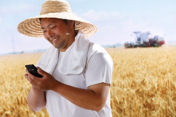 一个农民在麦田里打电话图片下载