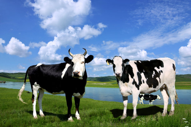 内蒙古阿尔山伊敏河风光图片下载