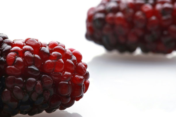 水果桑葚图片下载