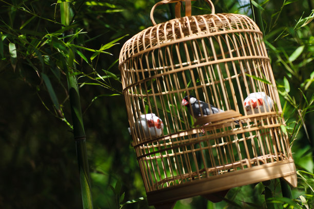 庭院里的鸟笼图片下载