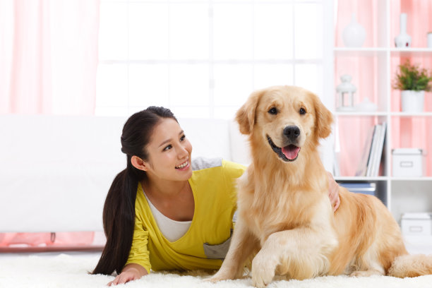 青年女人和宠物狗图片下载