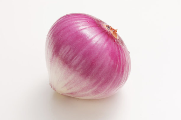 洋葱图片下载
