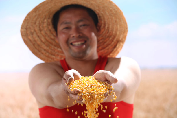 一个农民手捧玉米图片下载