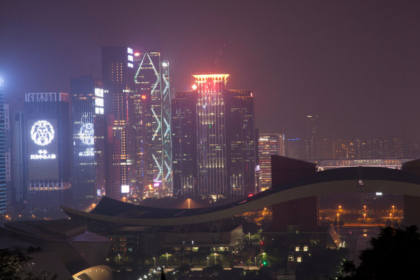 广东省深圳莲花山夜景图片下载