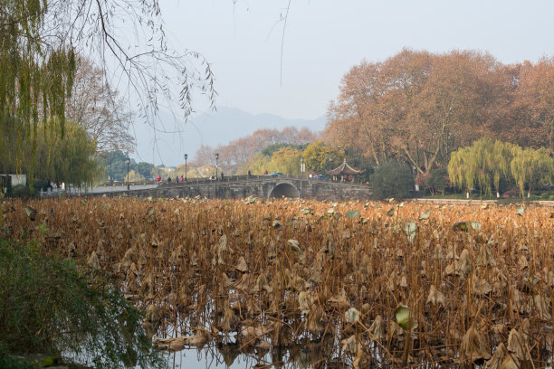 浙江省杭州西湖图片下载