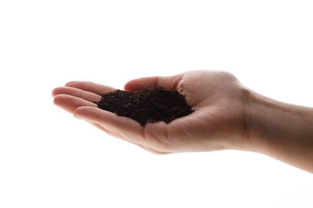 手捧着土壤图片下载