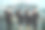 四个身穿学士服的大学生图片下载