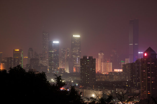 广东省深圳莲花山夜景图片下载