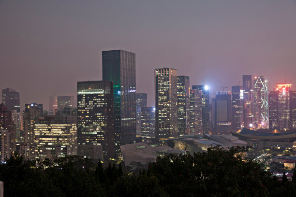 广东省深圳莲花山夜景图片下载