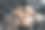 年轻男子在健身房展示肌肉图片下载