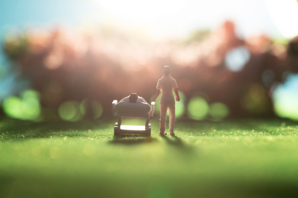 阳光下护士陪着病人赏樱花图片下载