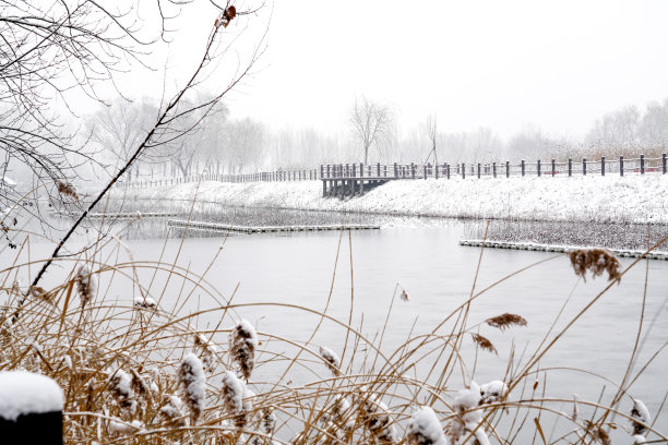 下雪后的湖边风景图片下载