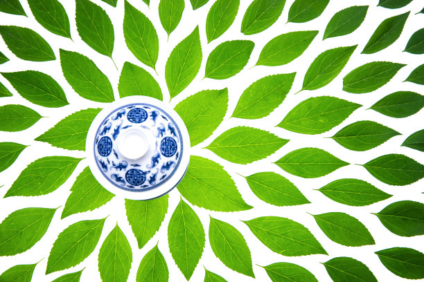 绿色的茶叶和茶杯图片下载