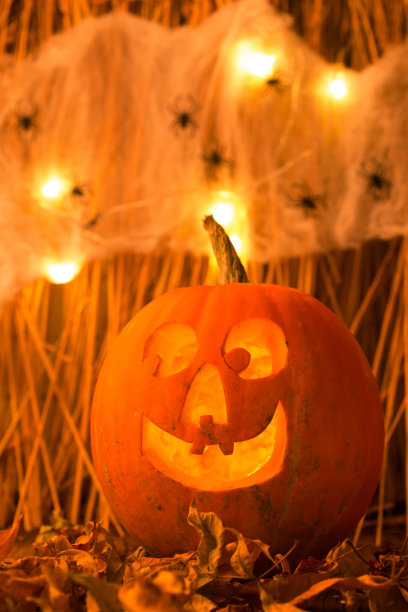 南瓜灯图片下载