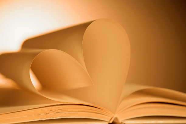 情人节静物图片下载