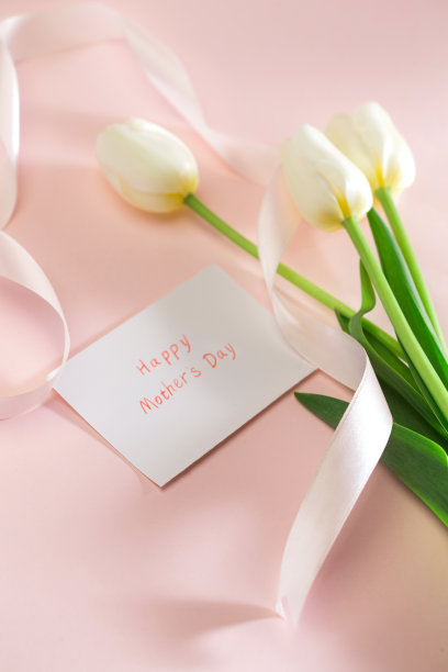 郁金香图片下载