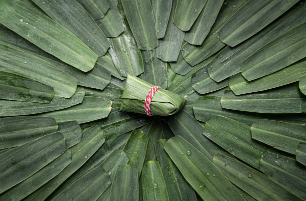 粽子和粽叶图片下载