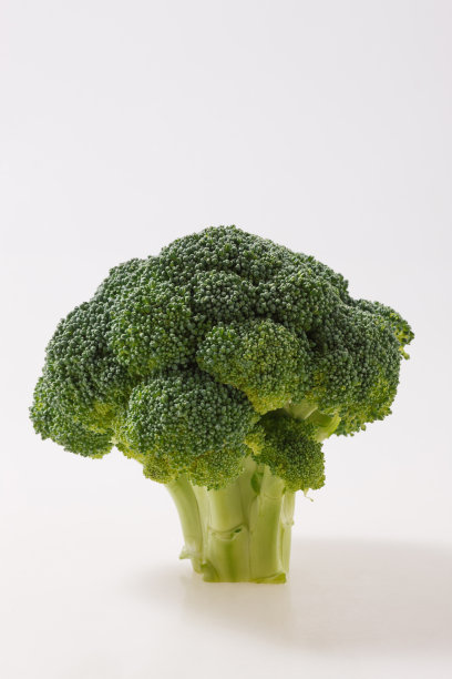 西兰花图片下载