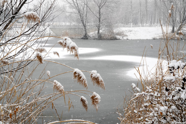 雪中的冰冻的湖面图片下载