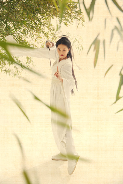 江湖侠女图片下载