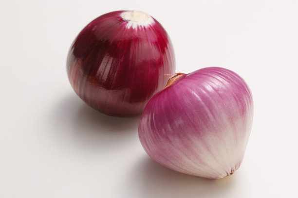 洋葱图片下载