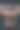 年轻的男健美运动员的背视图图片下载