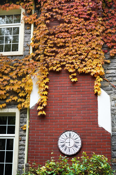 私家别墅外观局部图片下载