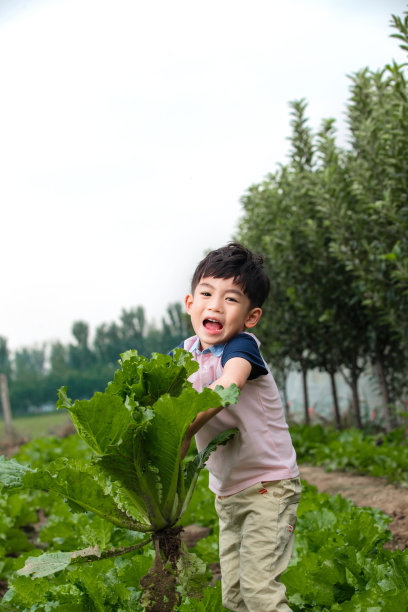 东方儿童采摘蔬菜图片下载