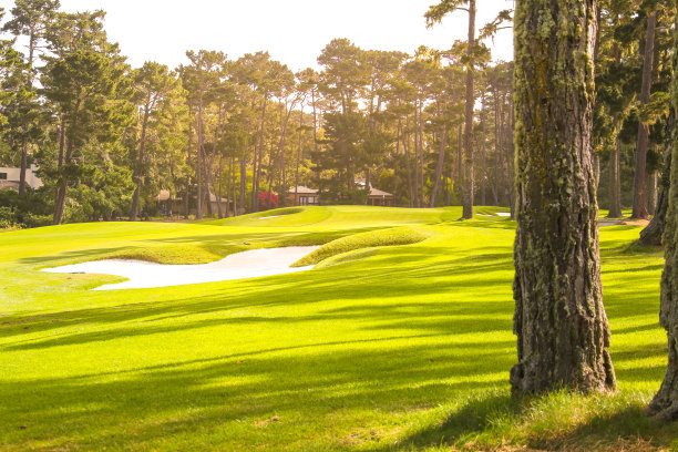 高尔夫球场图片下载