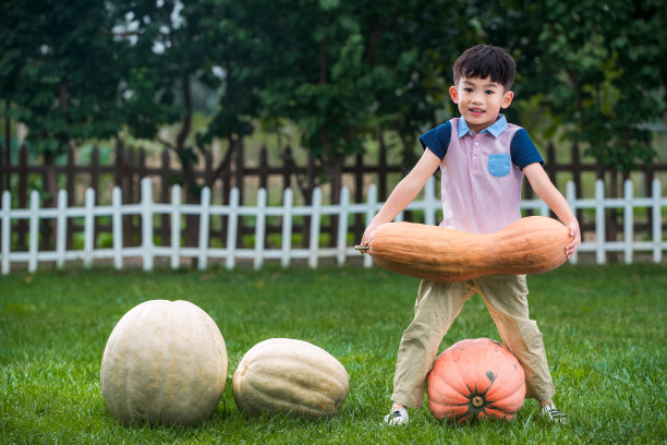 东方儿童搬南瓜图片下载