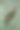 端午节照片素材ID：417167094